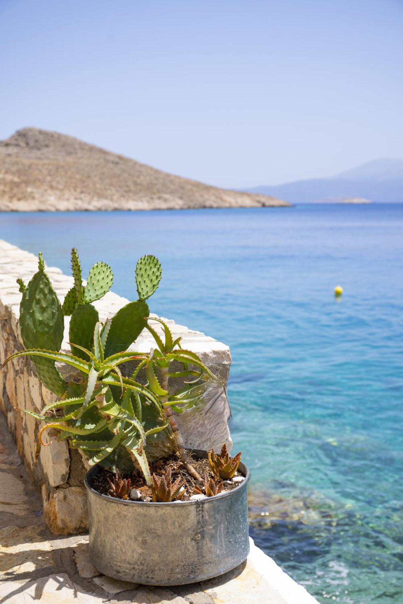 Villa Electra Chalki Town Bagian luar foto